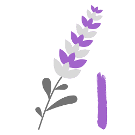 Plantes aromatiques